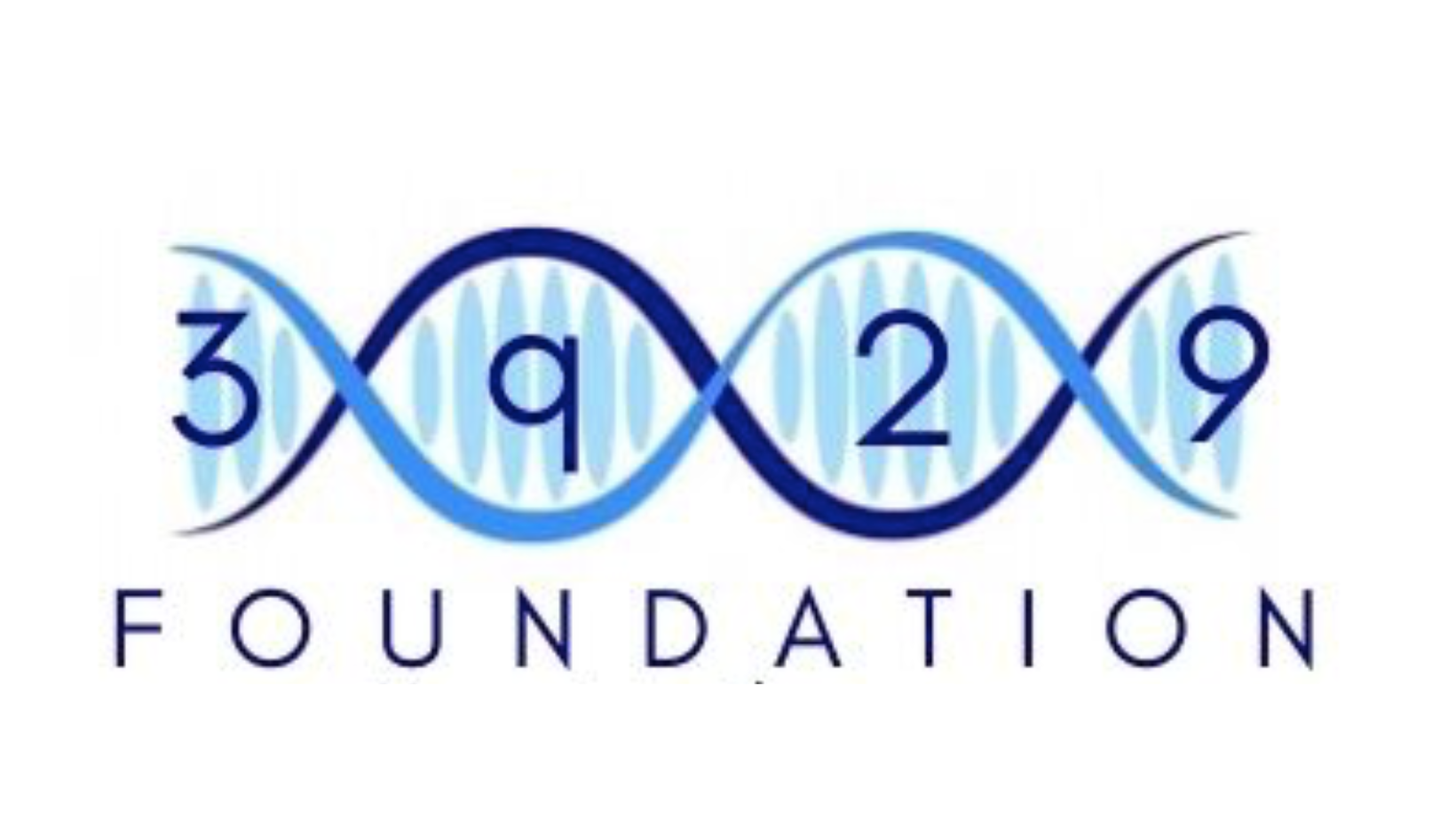 3q29 Foundation logo
