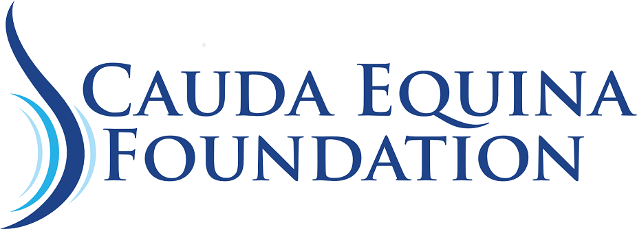 Cauda Equina Foundation logo