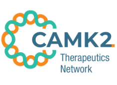 CAMK2 Therapeutics Network logo